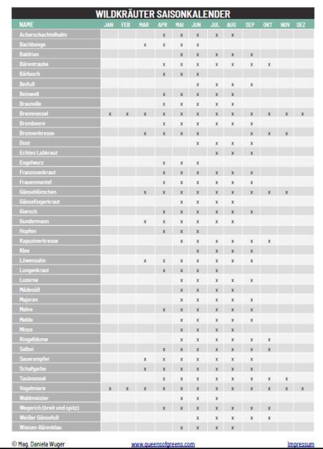 natuerlicher-hunger-blog-wildkraeuter-saisonkalender